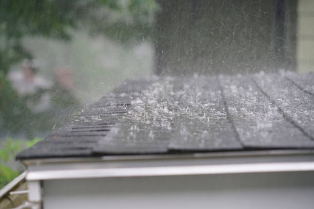 Best Solar Panel Roofing Installation  in East Sparta, OH